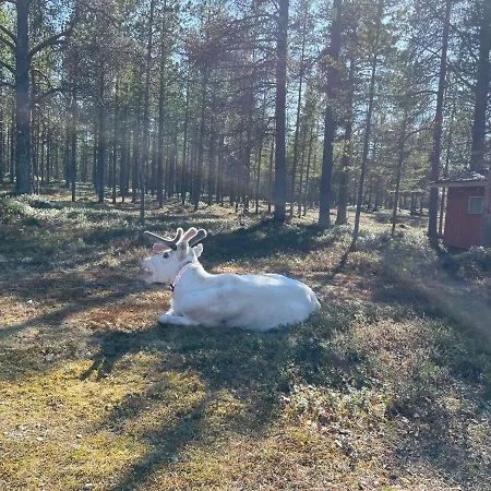 פארק נופש Porotila Toini Sanila 3*