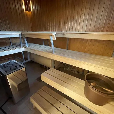 Porotila Toini Sanila منتزه العطل