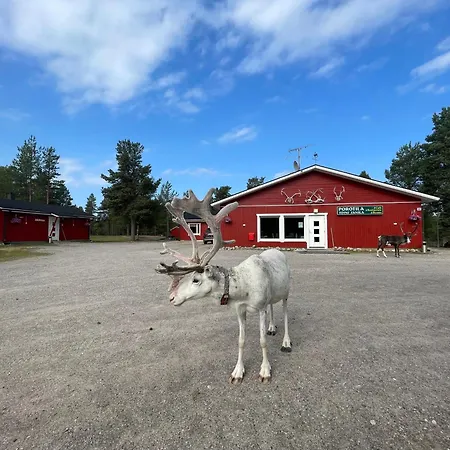 Porotila Toini Sanila منتزه العطل