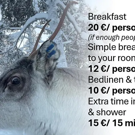 Porotila Toini Sanila 3* Sevettijärvi