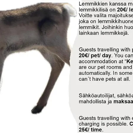 Porotila Toini Sanila