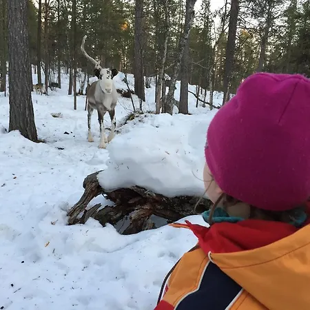 منتزه العطل Porotila Toini Sanila