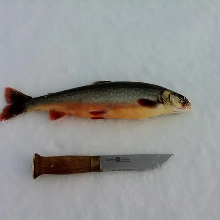 منتزه العطل Porotila Toini Sanila