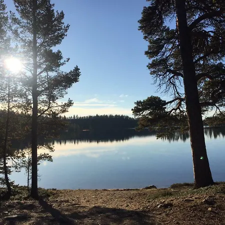 Porotila Toini Sanila 3*