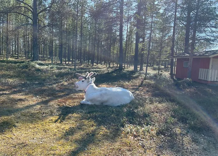 Holiday park Porotila Toini Sanila 3*